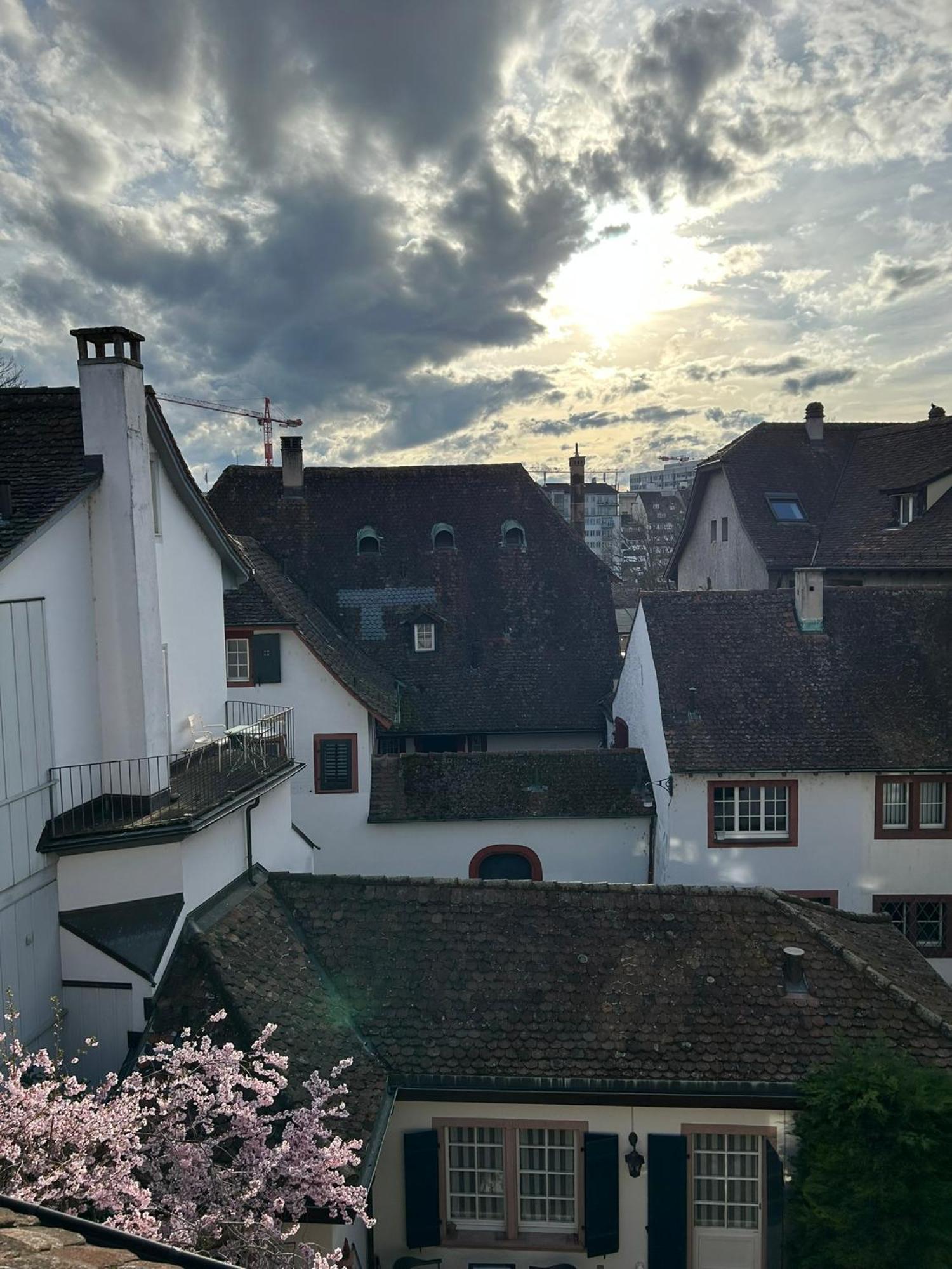 Rheinstream Guesthouse Basel Dış mekan fotoğraf